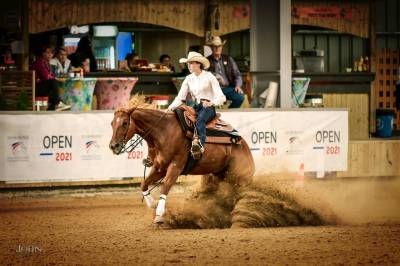 Quarter horse reining