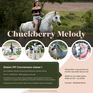 Chuckberry melody : etalon connemara pp classe 1