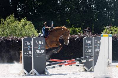 Belle jument zangersheide pp - 6 ans