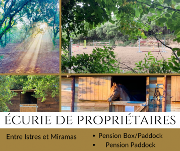 Pension équestre campagne voltaire