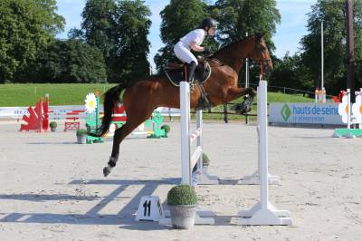 Dp sur cheval de sport - yvelines