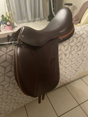 Selle prestige vénus  en 17 