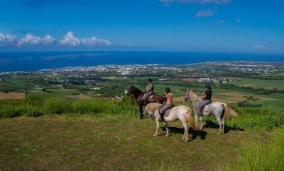 Location gérance centre équestre à l'ile de la réunion