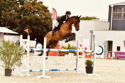 Cheval 8 ans  cso