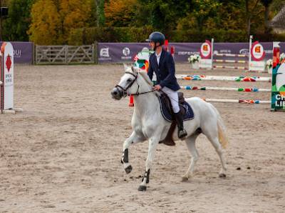 Poney d de sport 