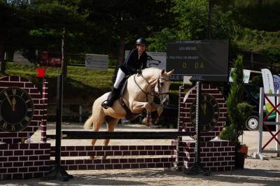 Cheval à louer pour cso cce amateur ou club