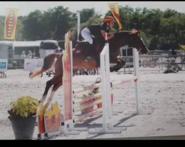 Poney d cso 12ans