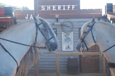 Pawnee ranch, spectacle et médiation animale