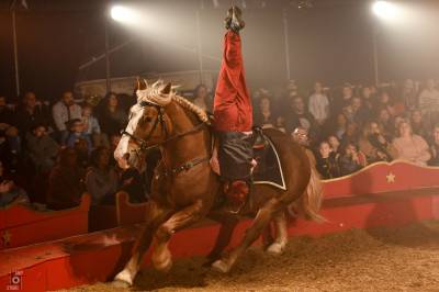 Devenez artiste équestre grâce à la formation de cheval