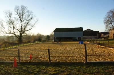 Pension pour poneys et petits chevaux (86)