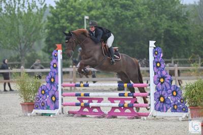 Poney d de 5ans pour as 2