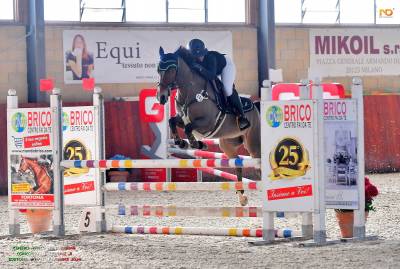 PONY BREVETTI