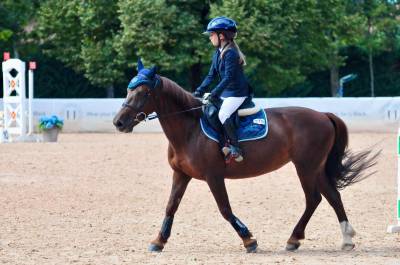 Jument poney de selle anglais a vendre 2012 alezan