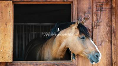 Domaine equestre en région parisienne