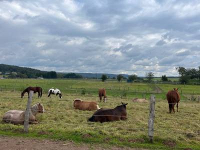 Pension equipiste vosges