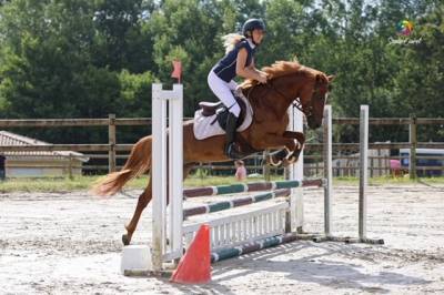 Poney française de selle 8 ans