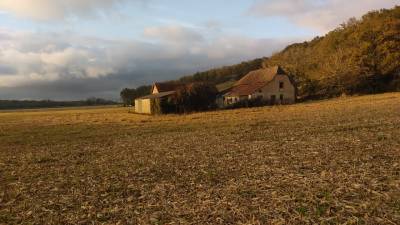 Corps de ferme avec 20 ha de terres agricoles