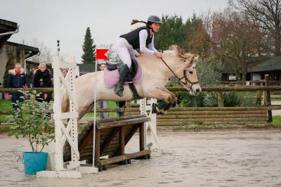 Ponette fjord  pleins papiers, 8 ans,  141 cm énergique