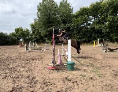 à vendre ponette pfs 5 ans 