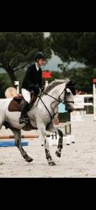 Augenblick ysandre  : saillis poney gagnant aseliteexcellence