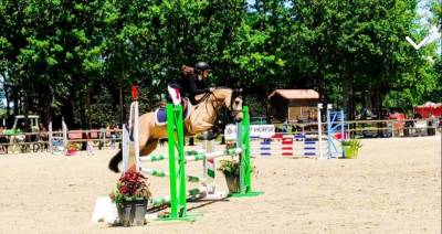 Poney c de sport oc