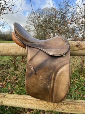 Selle stübben type dressage