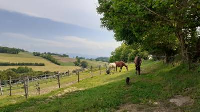 Petite ferme équestre, mont du lyonnais sud