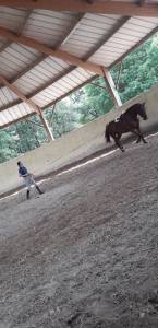 Cavalière enseignante au service du cheval