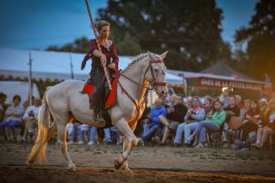 Delirio de bouchetis : etalon lusitanien crème