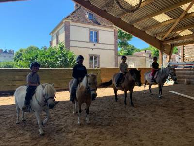 Moniteur / monitrice d'équitation