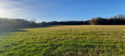 Propriété idéale chevaux 15 mn de saintes (17) - 2,8 ha