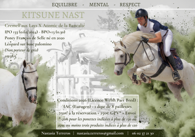 Kitsune Nast - French Saddle Pony 2020 by Cremell'aux Lays