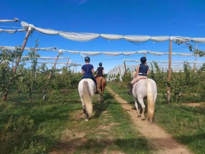 Pension bourg les valence 