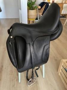 Antares dressage tempo 