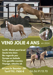 Ponette 4 ans