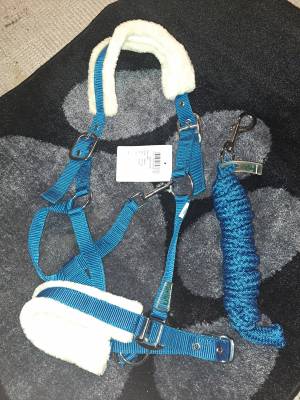 Divers affaires d'équitation Neuf