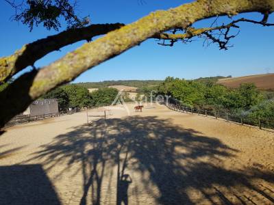 Centre equestre de 5 ha avec bar - jezainville