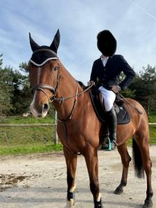 Hongre polyvalent 8 ans