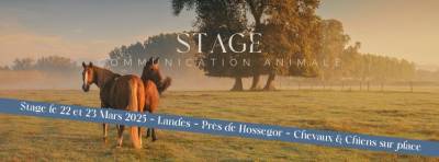 Stage communication animale 22 et 23 mars 2025 - landes