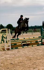 Deux supers chevaux à vendre chez l’élevage du mas du r