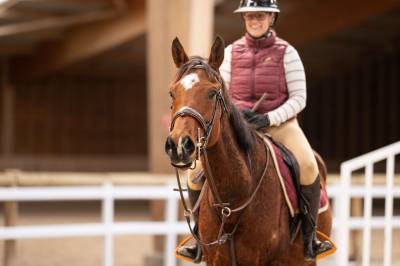 Chevaux de sport et loisirs