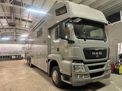 Man tgs 26.360 horse trucks pop out