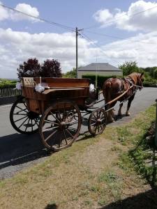 calèche d'attelage pour cheval de trait