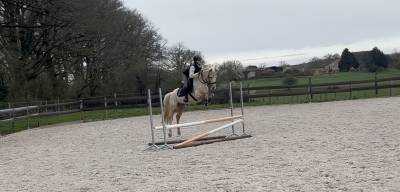 Poney c 139cm - 4 ans - prêt pour les 4 ans c