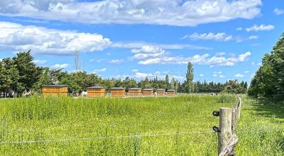 Equestrian property  bouches-du-rhône