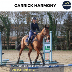 Garrick harmony - 7 ans - ps