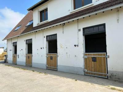 Pension chevaux - deauville