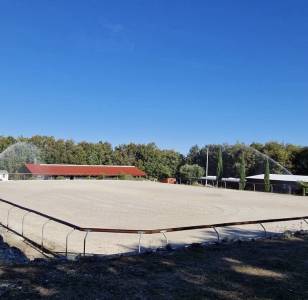 Propriete equestre 13 ha, 20 boxes 