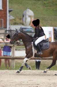 Poney D