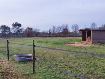 Pension equestre